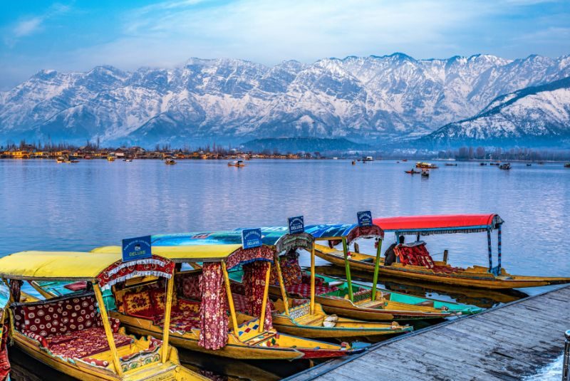 Shikara boats floating on Dal Lake 1 e1765012001799